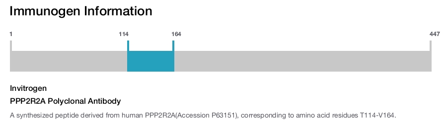 PPP2R2A Polyclonal Antibody