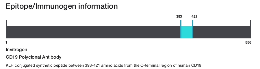 CD19 Polyclonal Antibody