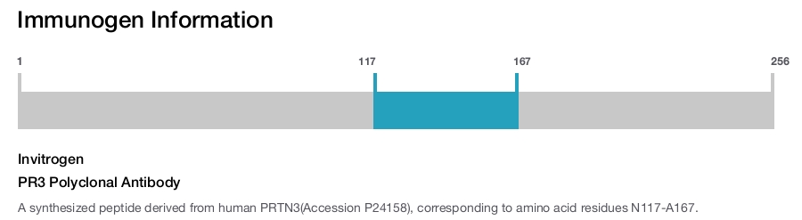 PR3 Polyclonal Antibody