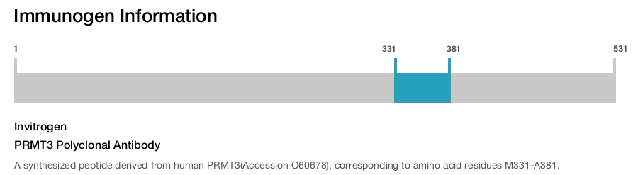 PRMT3 Polyclonal Antibody