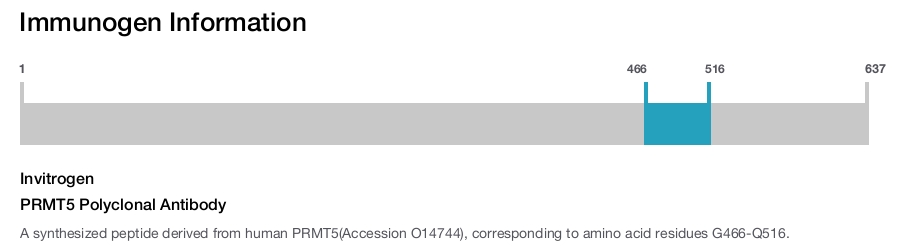 PRMT5 Polyclonal Antibody