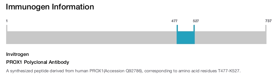 PROX1 Polyclonal Antibody