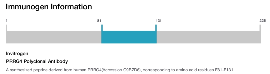 PRRG4 Polyclonal Antibody