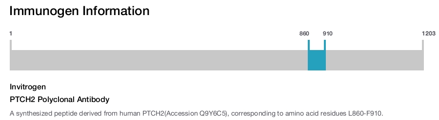 PTCH2 Polyclonal Antibody