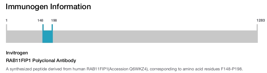 RAB11FIP1 Polyclonal Antibody