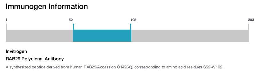 RAB29 Polyclonal Antibody