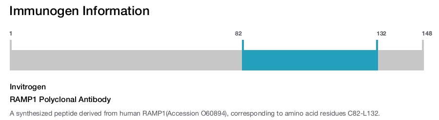 RAMP1 Polyclonal Antibody