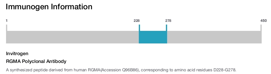 RGMA Polyclonal Antibody