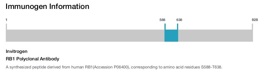 RB1 Polyclonal Antibody