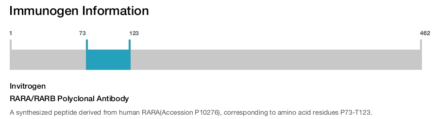 RARA/RARB Polyclonal Antibody