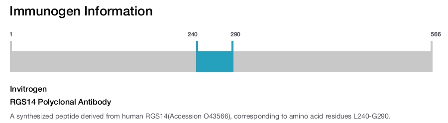 RGS14 Polyclonal Antibody