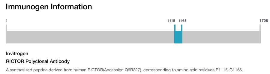 RICTOR Polyclonal Antibody