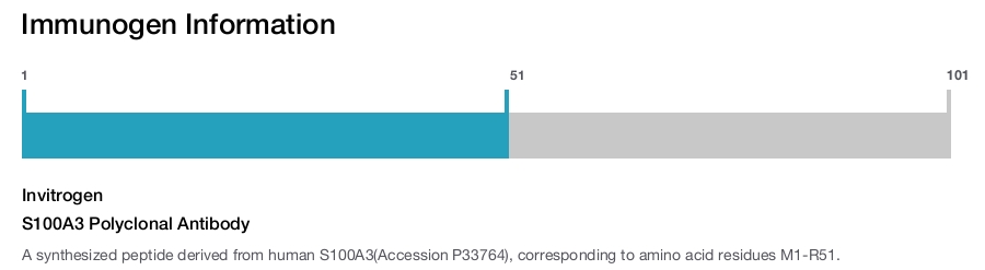 S100A3 Polyclonal Antibody