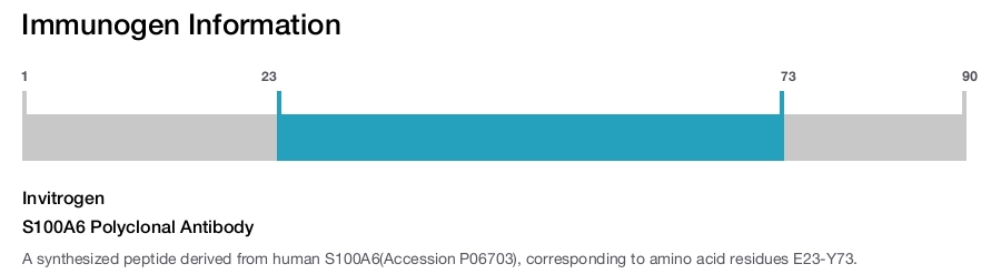 S100A6 Polyclonal Antibody
