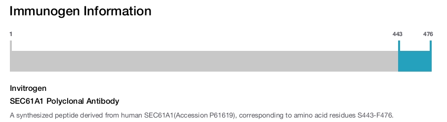 SEC61A1 Polyclonal Antibody