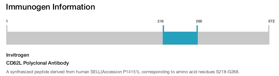 CD62L Polyclonal Antibody