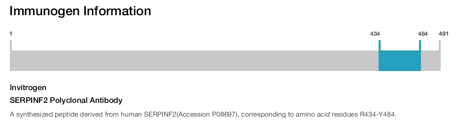 SERPINF2 Polyclonal Antibody