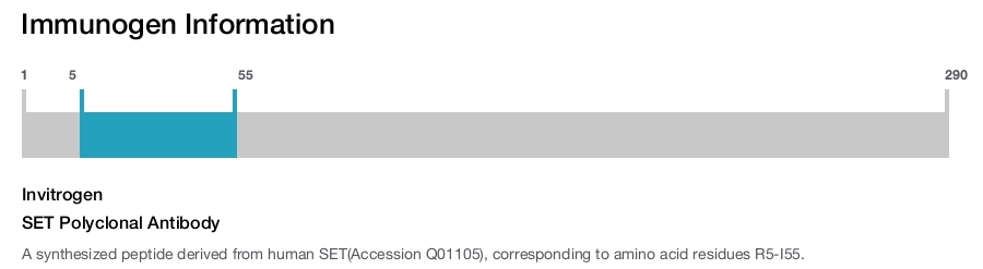 SET Polyclonal Antibody