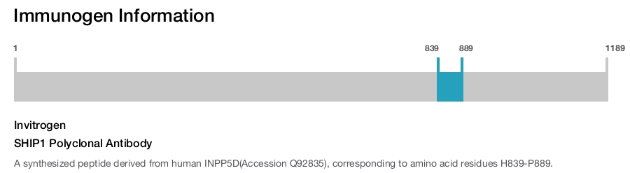 SHIP1 Polyclonal Antibody