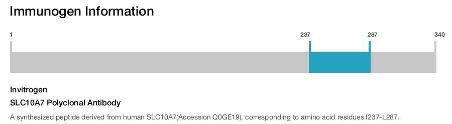 SLC10A7 Polyclonal Antibody