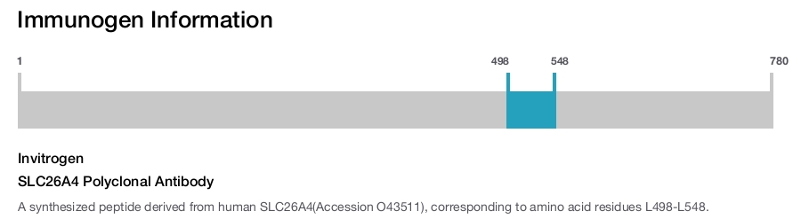 SLC26A4 Polyclonal Antibody