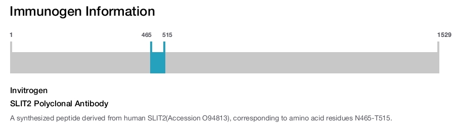 SLIT2 Polyclonal Antibody