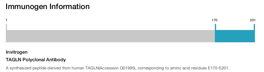 TAGLN Polyclonal Antibody