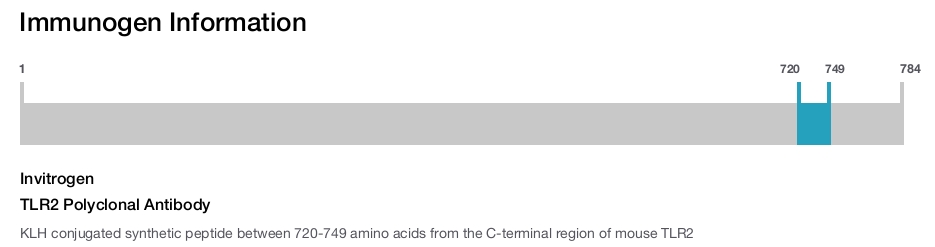 TLR2 Polyclonal Antibody