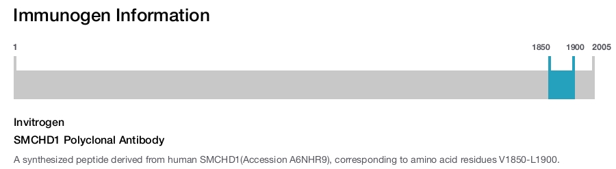 SMCHD1 Polyclonal Antibody