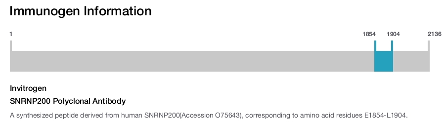 SNRNP200 Polyclonal Antibody