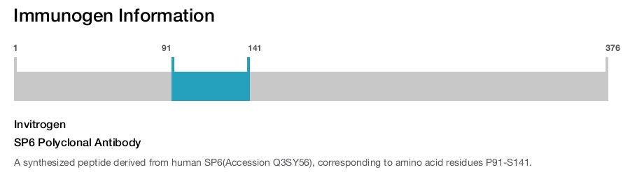 SP6 Polyclonal Antibody