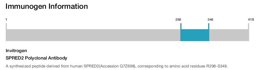 SPRED2 Polyclonal Antibody