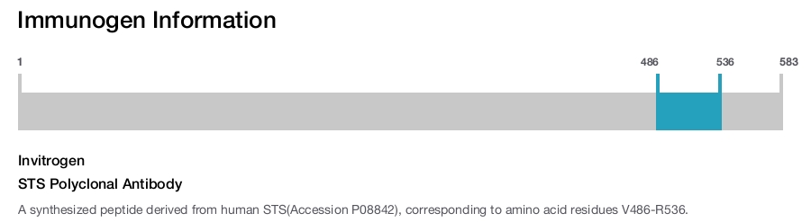 STS Polyclonal Antibody