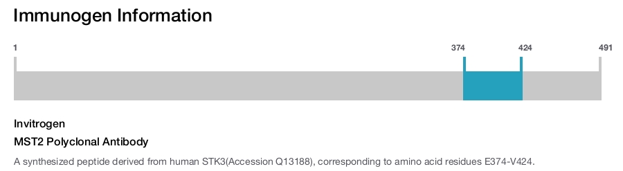 MST2 Polyclonal Antibody