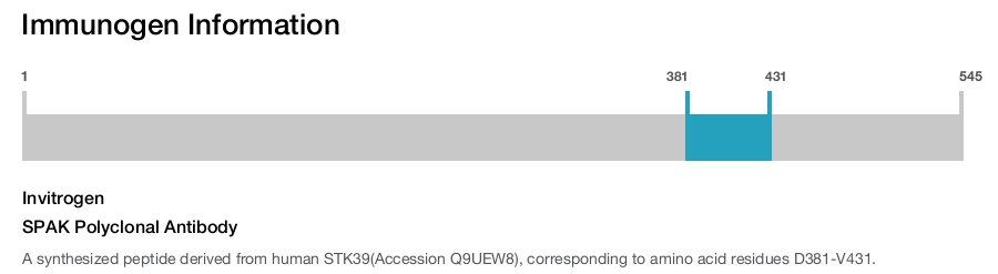 SPAK Polyclonal Antibody