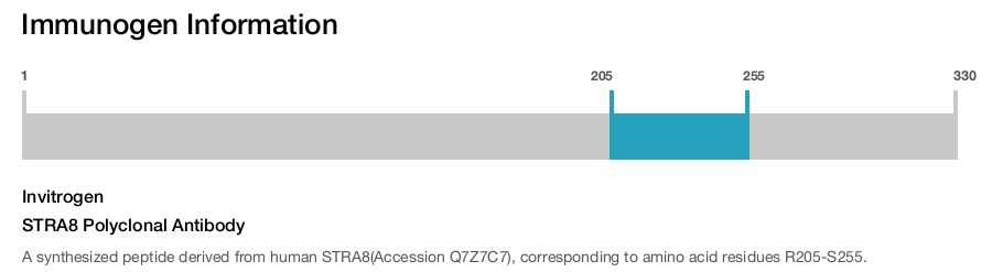 STRA8 Polyclonal Antibody