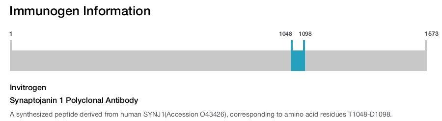 Synaptojanin 1 Polyclonal Antibody