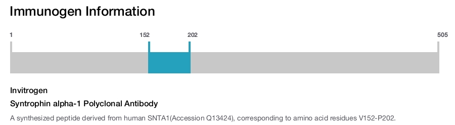 Syntrophin alpha-1 Polyclonal Antibody