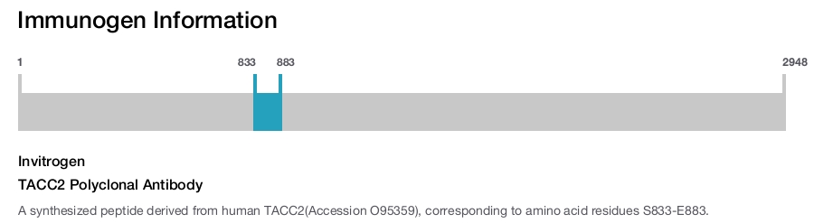 TACC2 Polyclonal Antibody