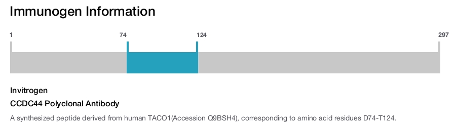 CCDC44 Polyclonal Antibody