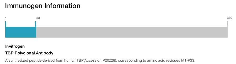TBP Polyclonal Antibody