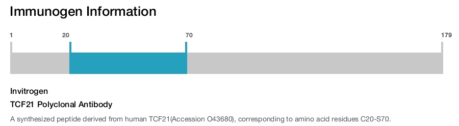 TCF21 Polyclonal Antibody