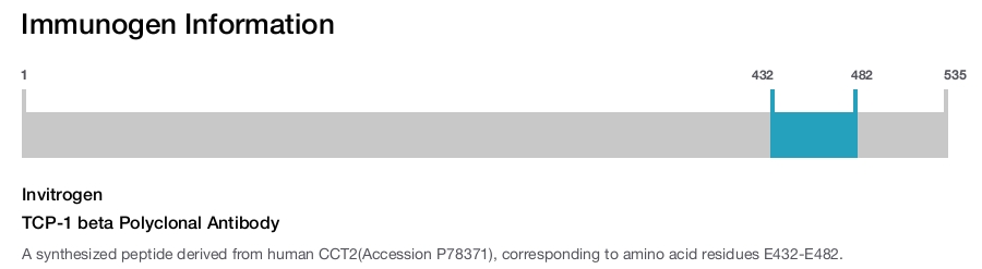 TCP-1 beta Polyclonal Antibody
