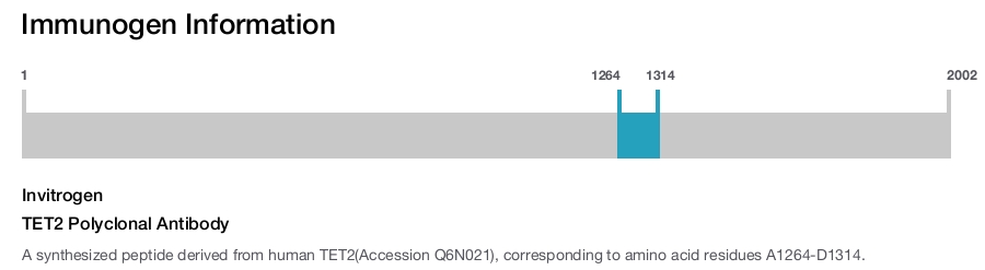 TET2 Polyclonal Antibody