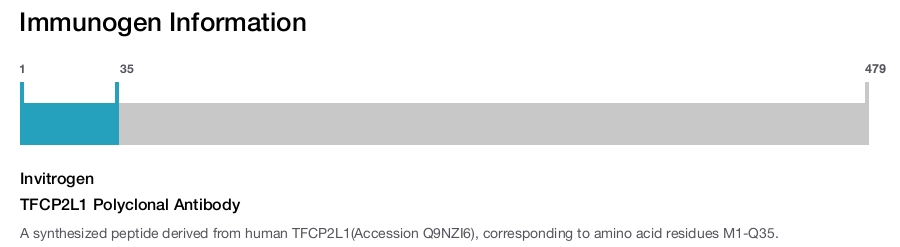 TFCP2L1 Polyclonal Antibody