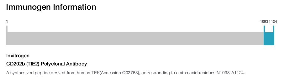 CD202b (TIE2) Polyclonal Antibody