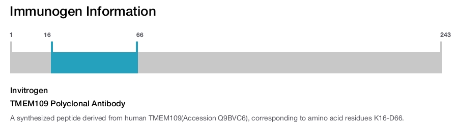 TMEM109 Polyclonal Antibody