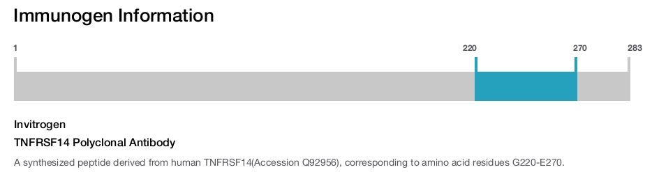 TNFRSF14 Polyclonal Antibody