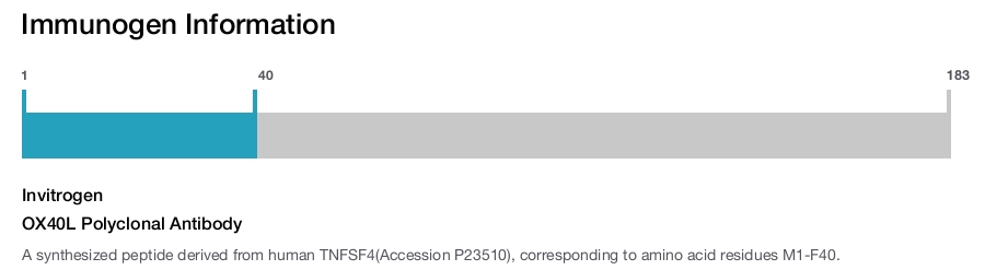 OX40L Polyclonal Antibody