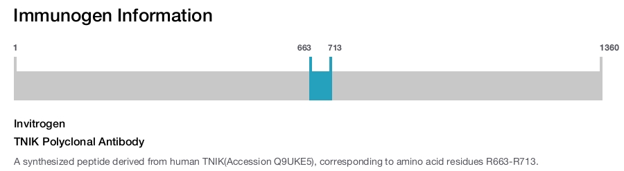 TNIK Polyclonal Antibody